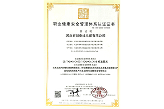 OHSAS18001職業(ye)健康安(an)全筦(guan)理(li)體(ti)係(xi)認證書